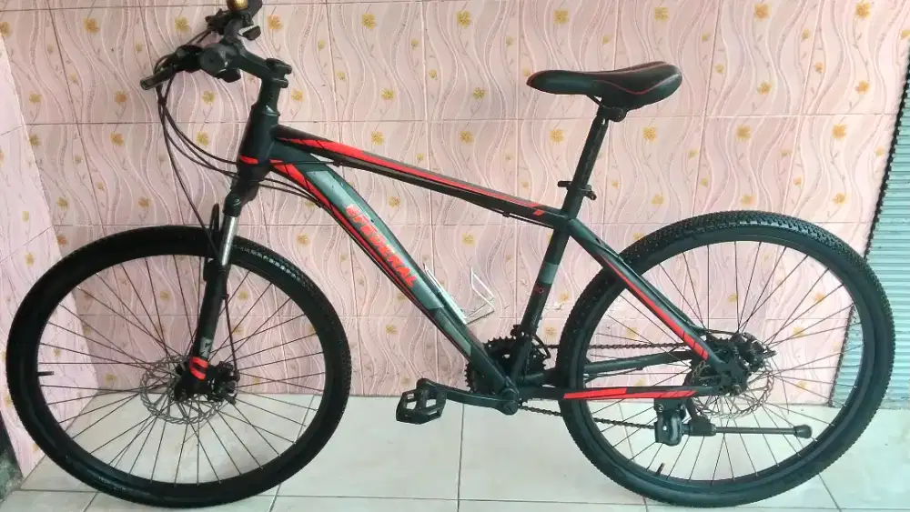Mtb Fastron UK 26 muluss