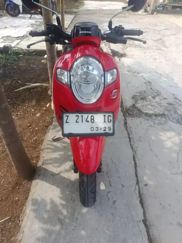 Honda Scoopy 2019 Sporty