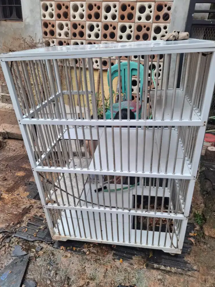 Kandang kucing 2 susun