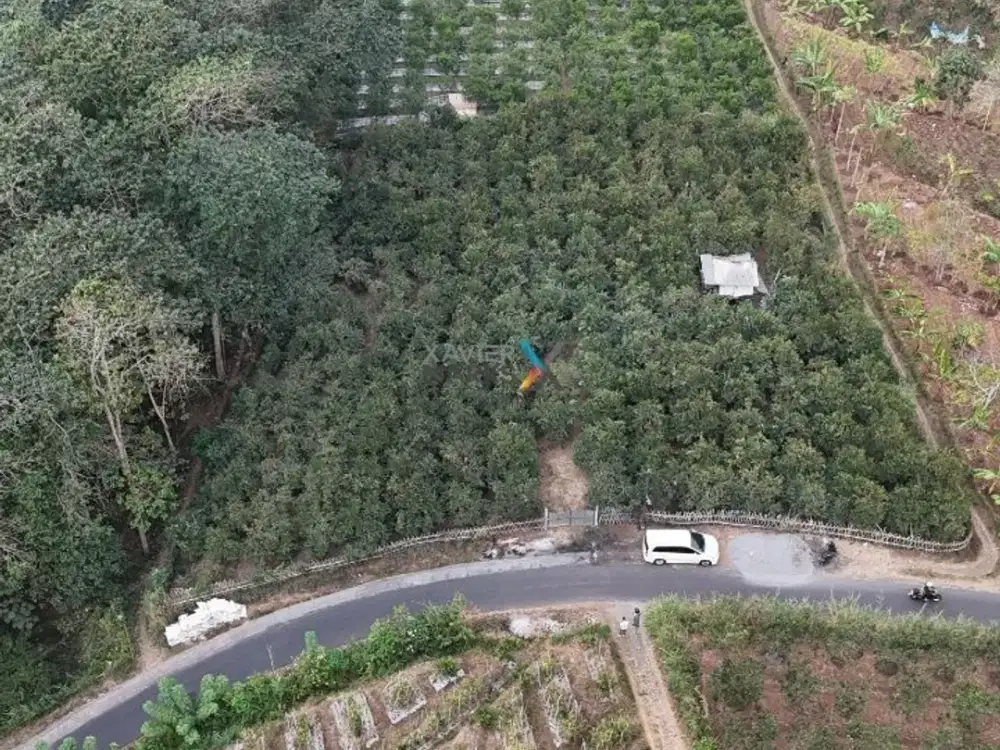 Dijual Tanah, Lahan di Petungsewu, Dau Malang