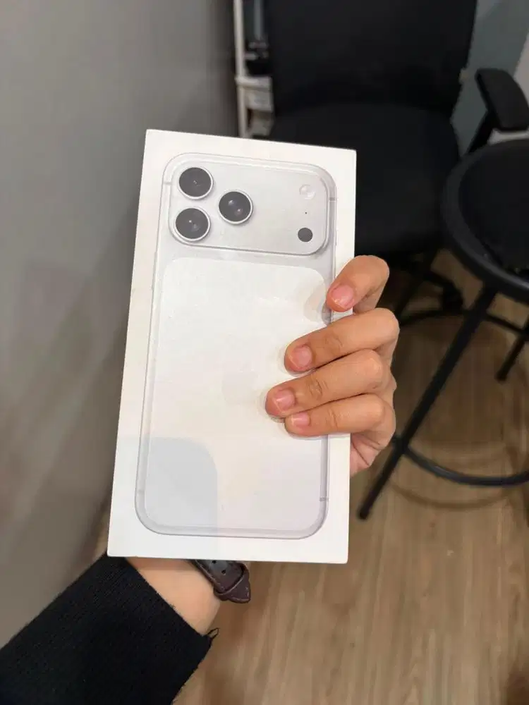 17 Promax 512gb silver