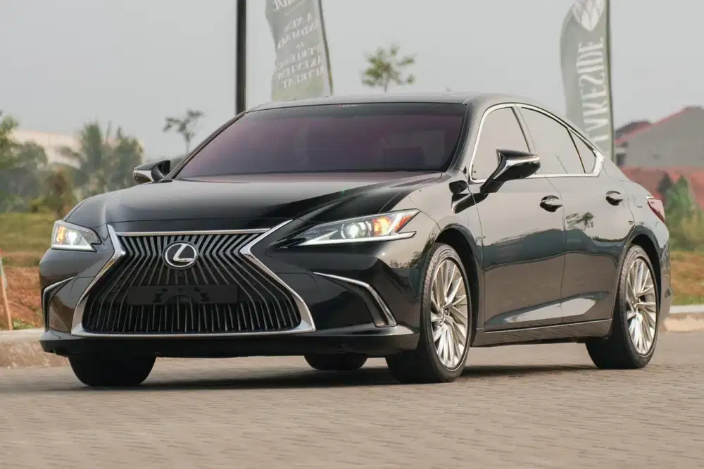 Lexus ES250 ES 250 Ultra Luxury 2.5 2020