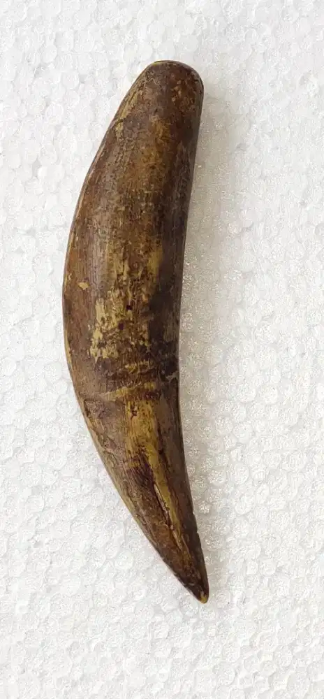 Hiasan Tar#HM Natural Size Su**p3r Jum##b0