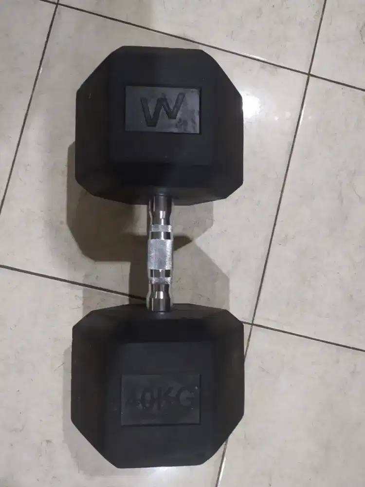 Dumbel 40 kg bkn barbel Hyrox Cardio Fitness Gym