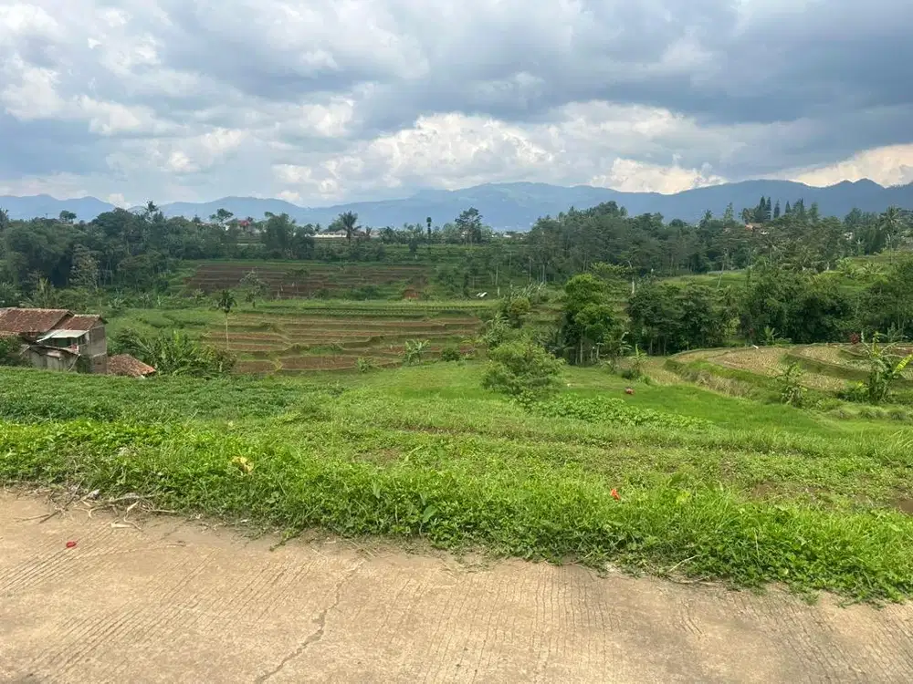 Tanah sawah produktif di pacet