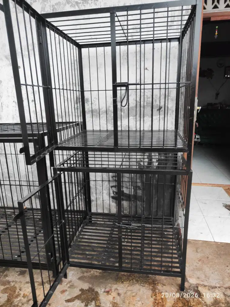 Kandang anjing baru