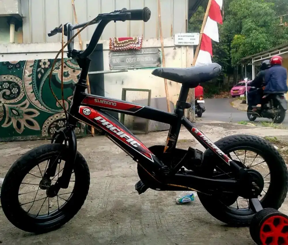 Sepedah anak usia 3 sampai 5 tahun