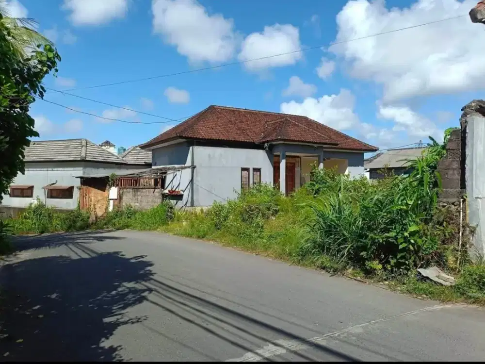 Dijual tanah murah belakang kampus teknik udayana, jimbaran Jln. Lingkar timur Udayana