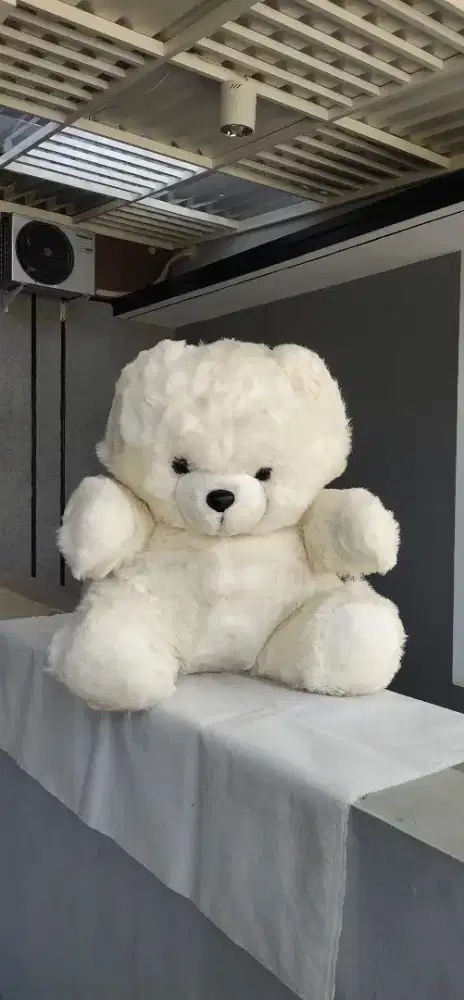 Boneka Teddy B3##ar 25 Buy From Mus#eum At P4tt4y4 Thailand 2004