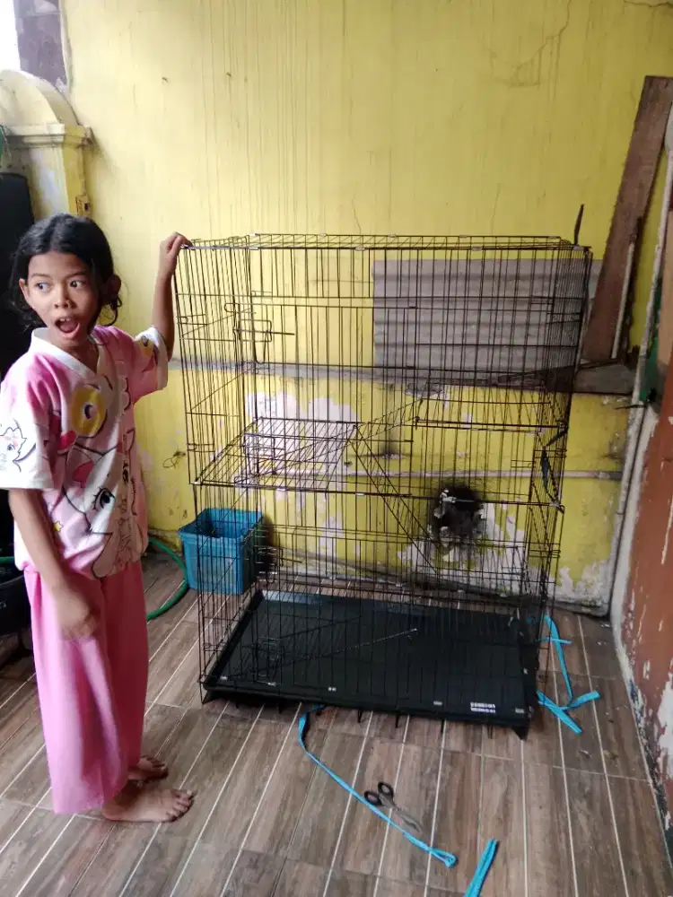 Kandang kucing 3 tingkat