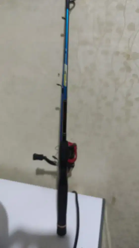 Joran pancing 1 set