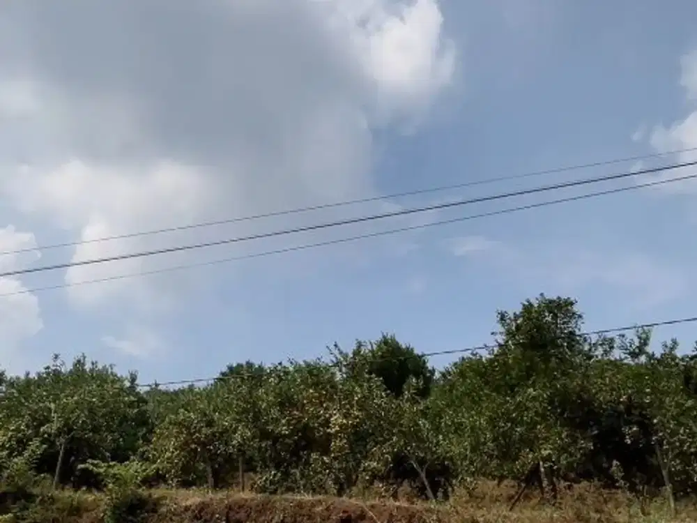 dijual tanah 500 rb an/ meter 5 menit dari jalan raya karangploso malang