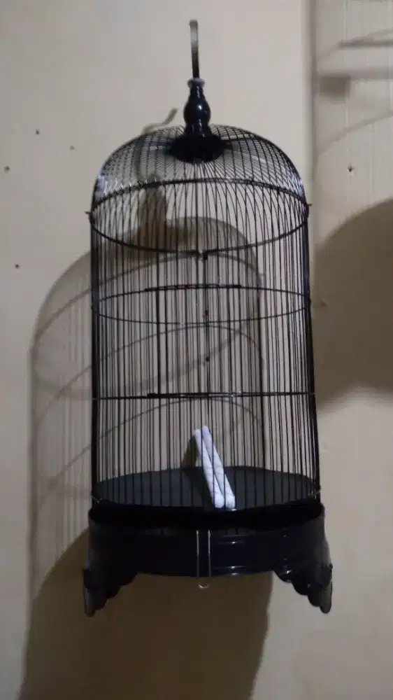 Sangkar / Kandang Burung Besi Bulat