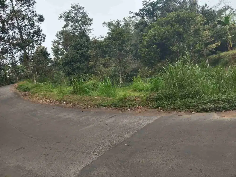 TANAH KEBUN DURIAN TRAWAS
