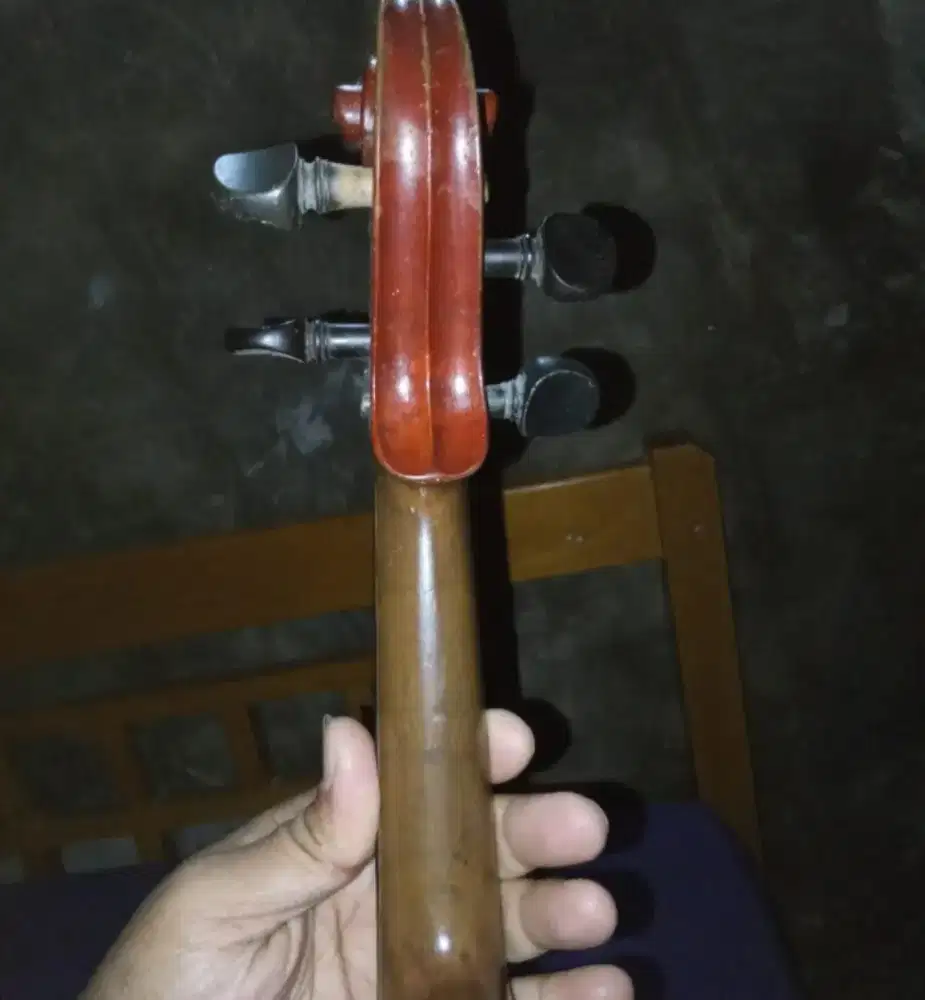 Biola merk studivari
