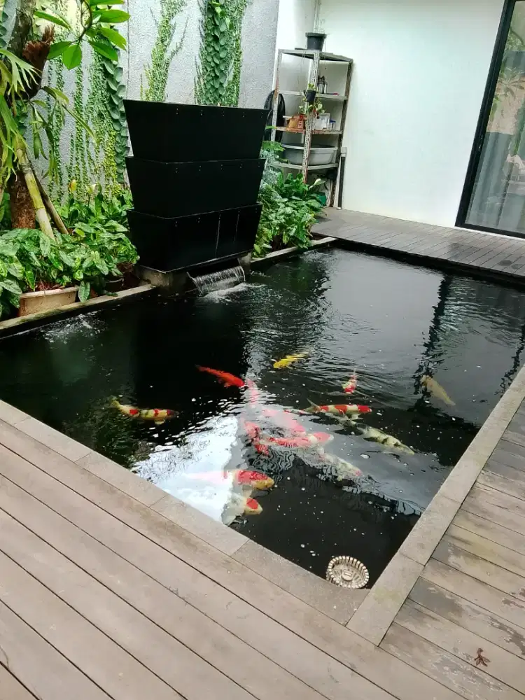 Kolam Koi Minimalis