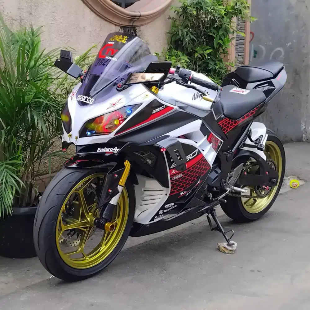 Kawasaki Ninja 250 FI