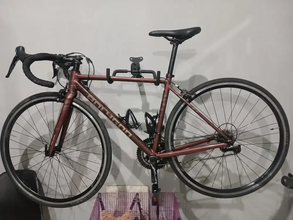 Polygon Stratos S3