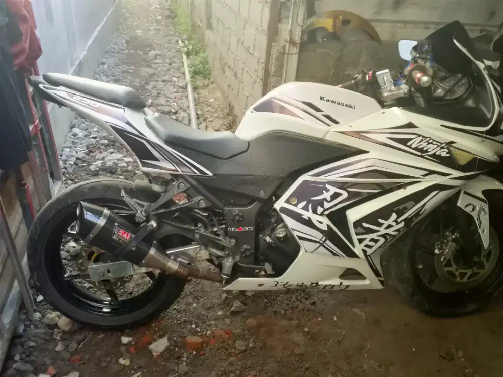 Ninja karbu 250cc