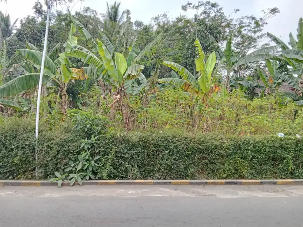 Dijual tanah di turen bokor kabupaten malang
