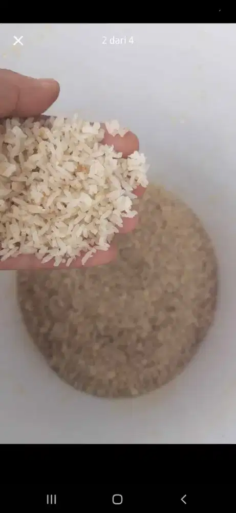 Nasi aking/nasi kering