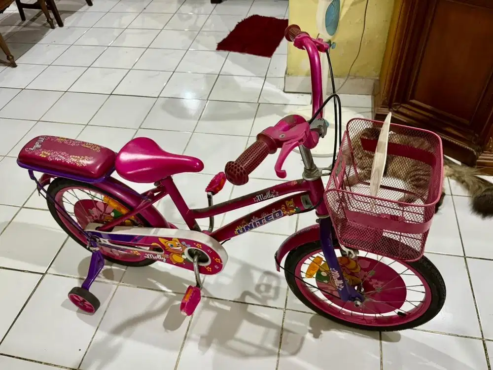 Dijual Sepeda Mini Anak United Keranjang
