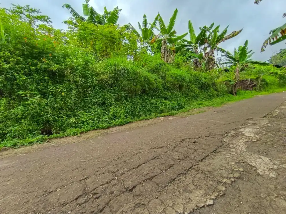 TANAH PADASUKA BANDUNG – LAHAN MATANG SIAP BANGUN, SHM