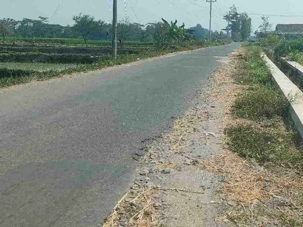 DIJUAL TANAH SAWAH STRATEGIS – KARANGNONGKO, KADILAJU, KLATEN