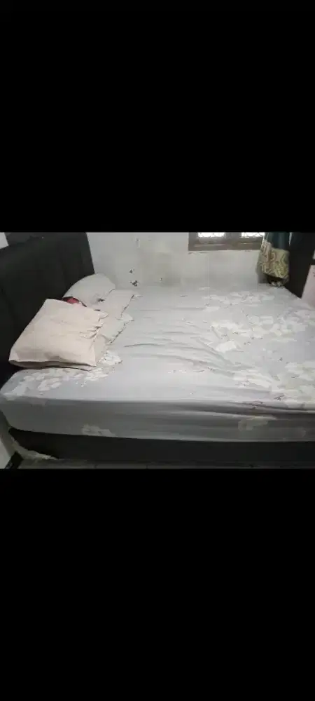 jual cepat springbed merk bigland