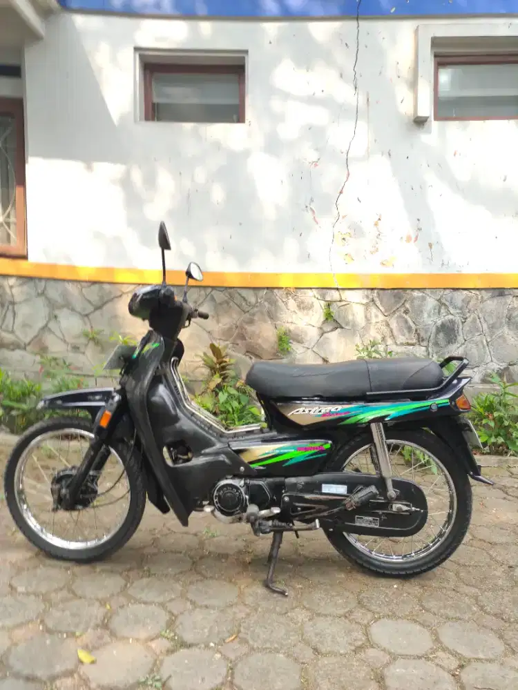 Astrea grand 97 mulus