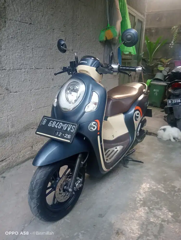 Scoopy fashion 2021