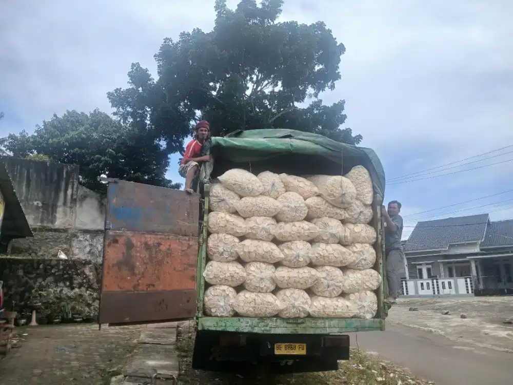 Kerupuk palembang