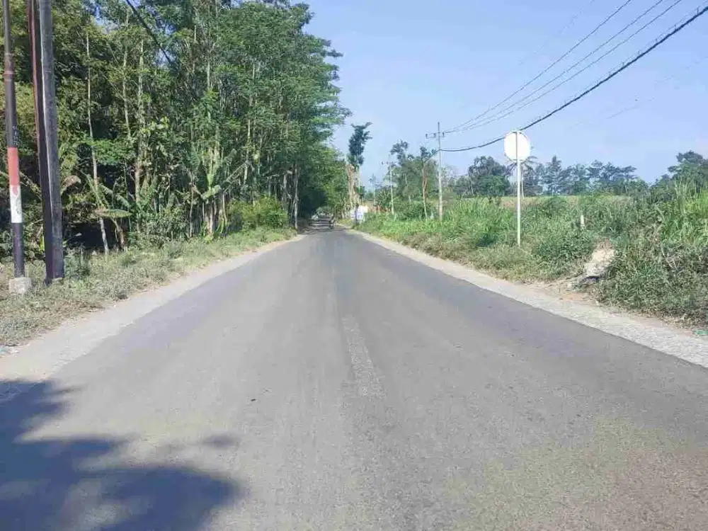 Dijual tanah 2,8ha di Tamanan Bondowoso