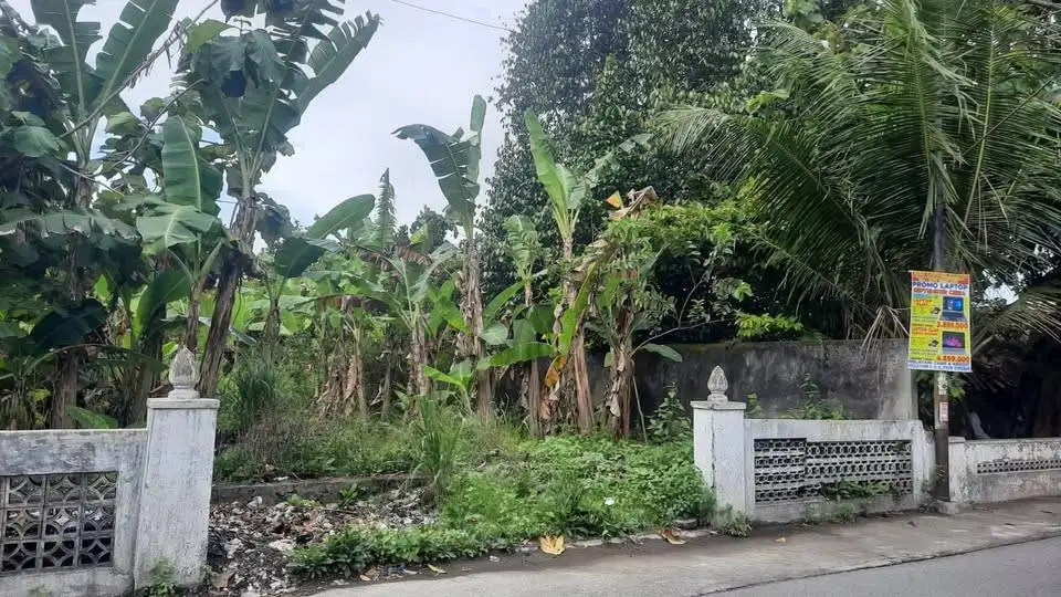 Tanah 1074 m2 Pendowoharjo Bantul