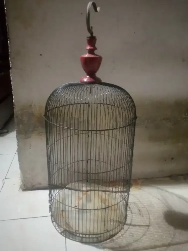jual kandang kapsul Lovebird