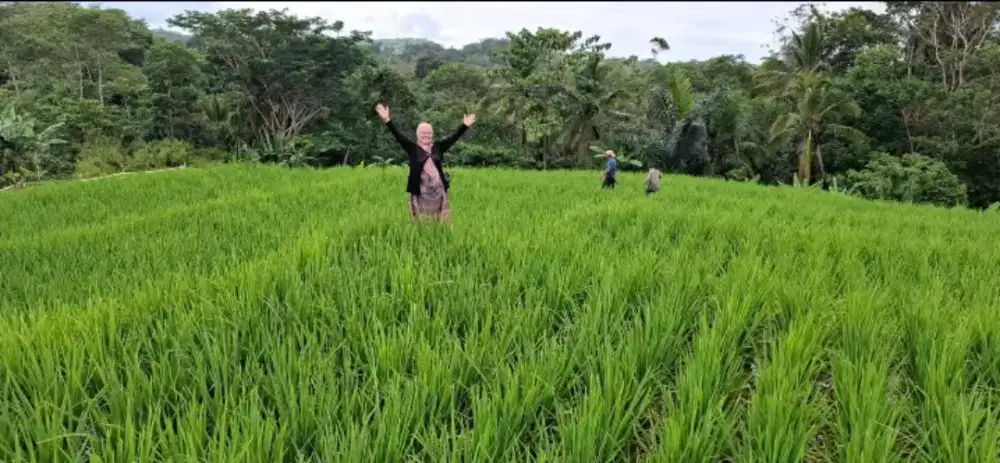 Dijual Sawah Produktif dan Tanah Daratan