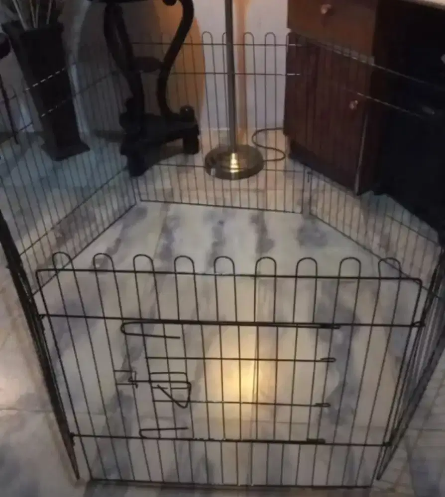 Kandang kucing indor+tas cargo+kandang umbaran+rumah rumahan