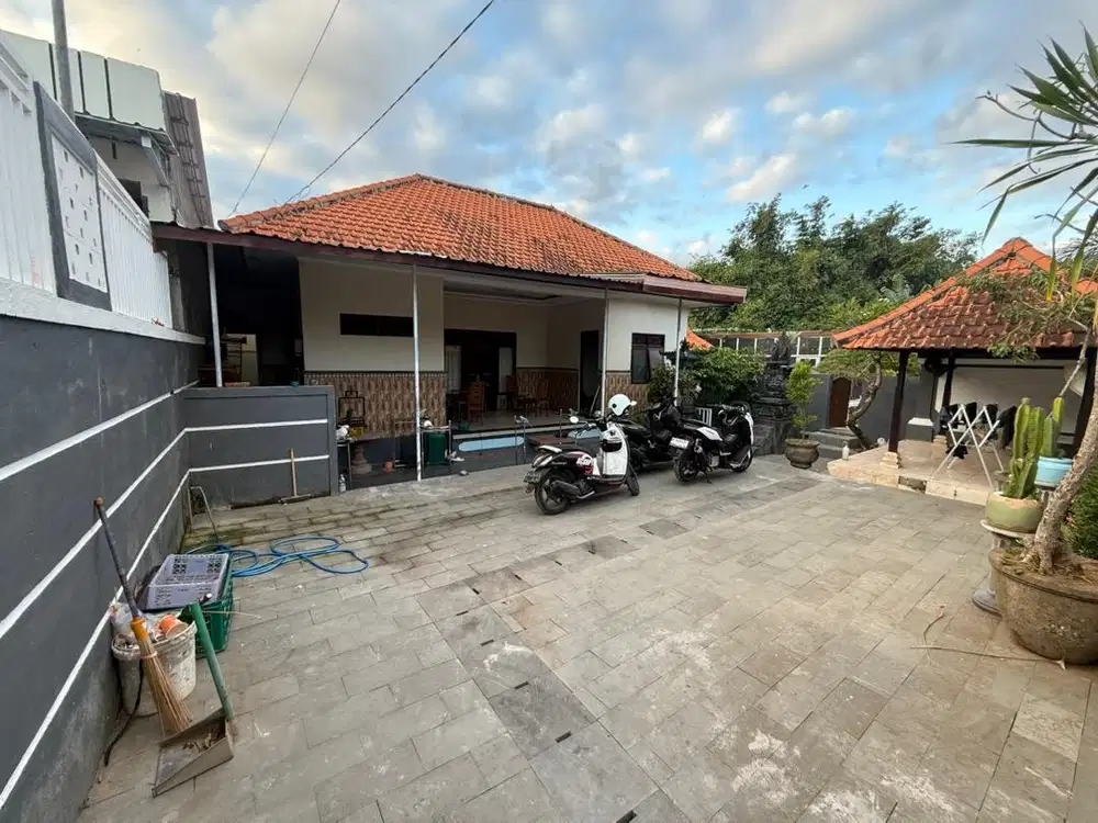 rumah kontrakan luas dan asri pet friendly