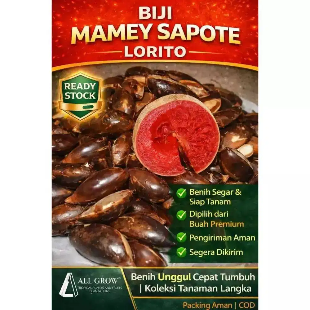 Biji Mamey Sapote Varietas Lorito | Premiun Siap Tanam ( Per Biji)