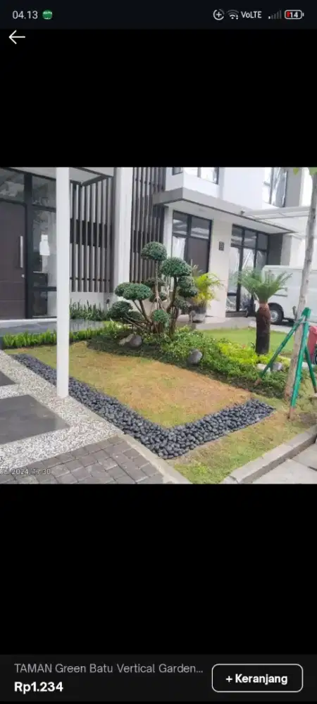 Pembuatan taman hias rumput jepang dan berbagai taneman hias lainya