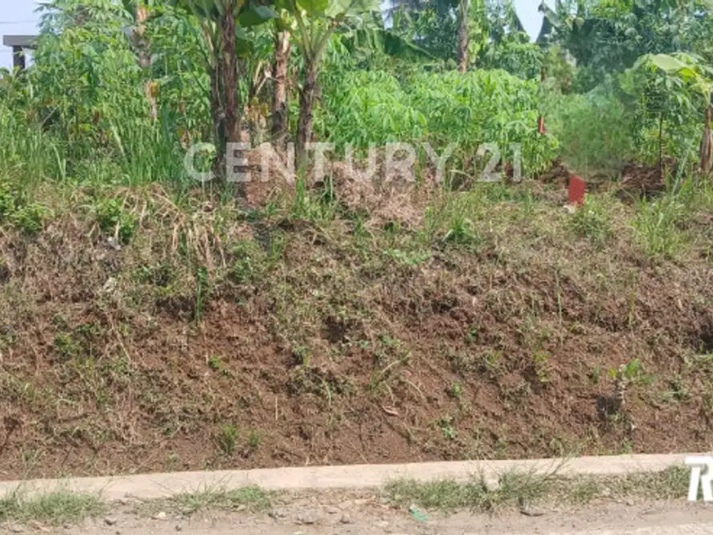 Tanah Dekat IPB Di Jl. Alternatif IPB Cikarawang Dramaga Bogor
