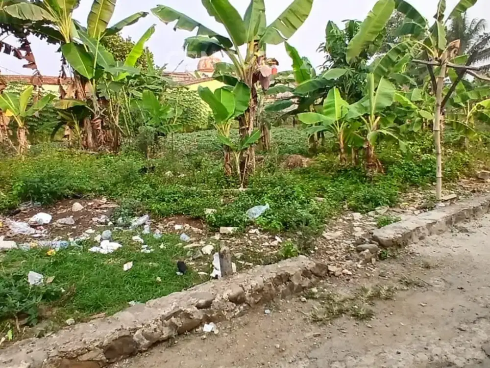 Tanah Dekat IPB Di Jl. Alternatif IPB Cikarawang Dramaga Bogor