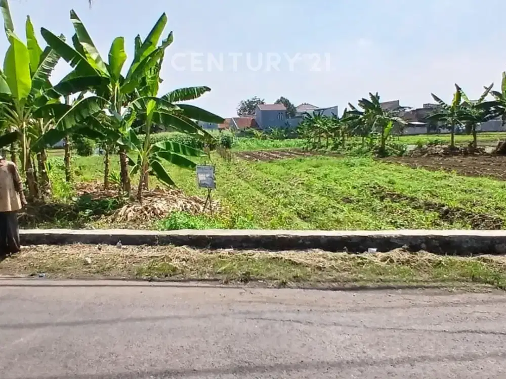 Tanah Dekat IPB Jl. Raya Dramaga Samping Swalayan HARI-HARI