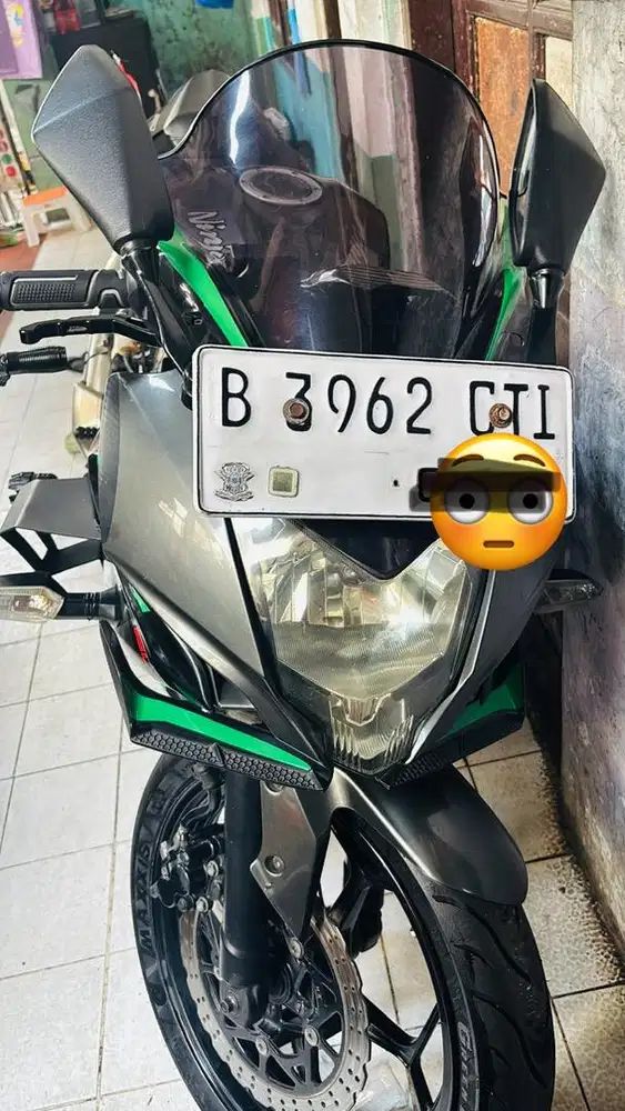 Ninja 250 SL Mono 2017
