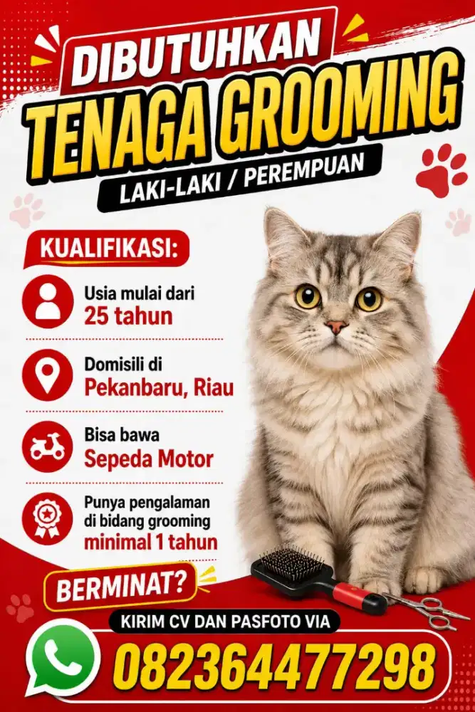Dibutuhkan tenaga kerja petshop yang bisa grooming