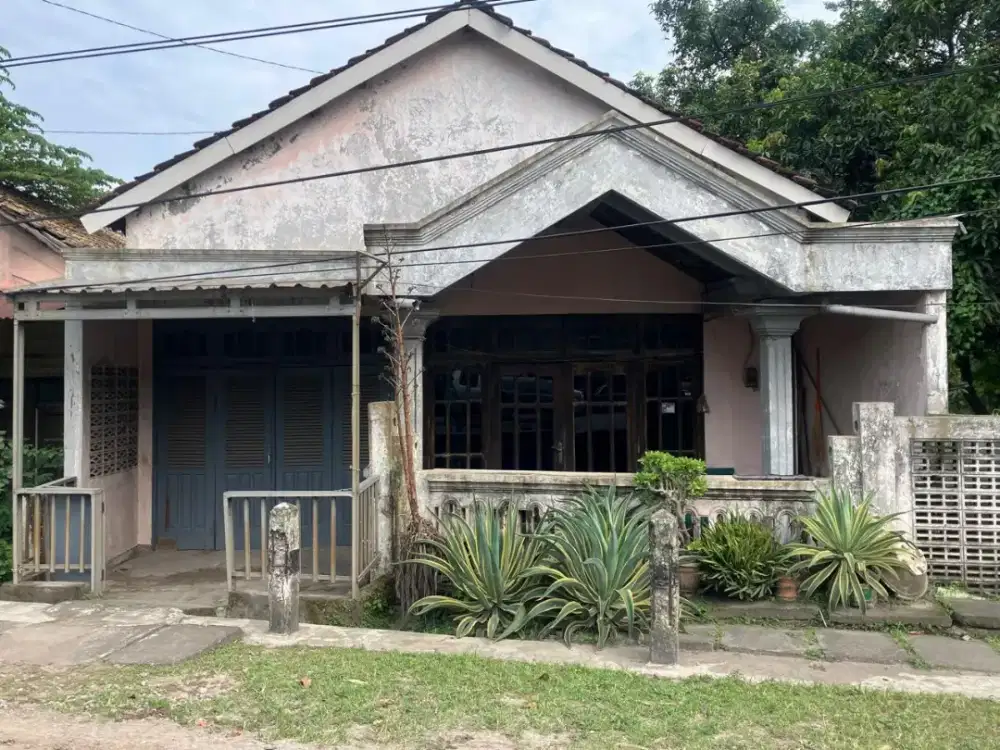 Luas tanah 6x19m