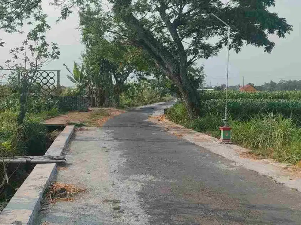 DIJUAL TANAH SAWAH MANISRENGGO HARGA MURAH