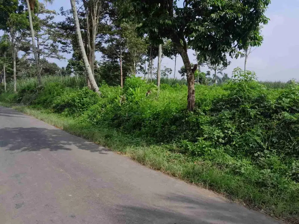 kebun datar berview bagus