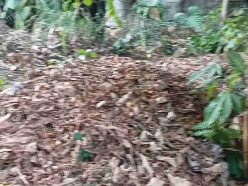 KAVLING MURAH SEPI TENANG DI LENTENG AGUNG