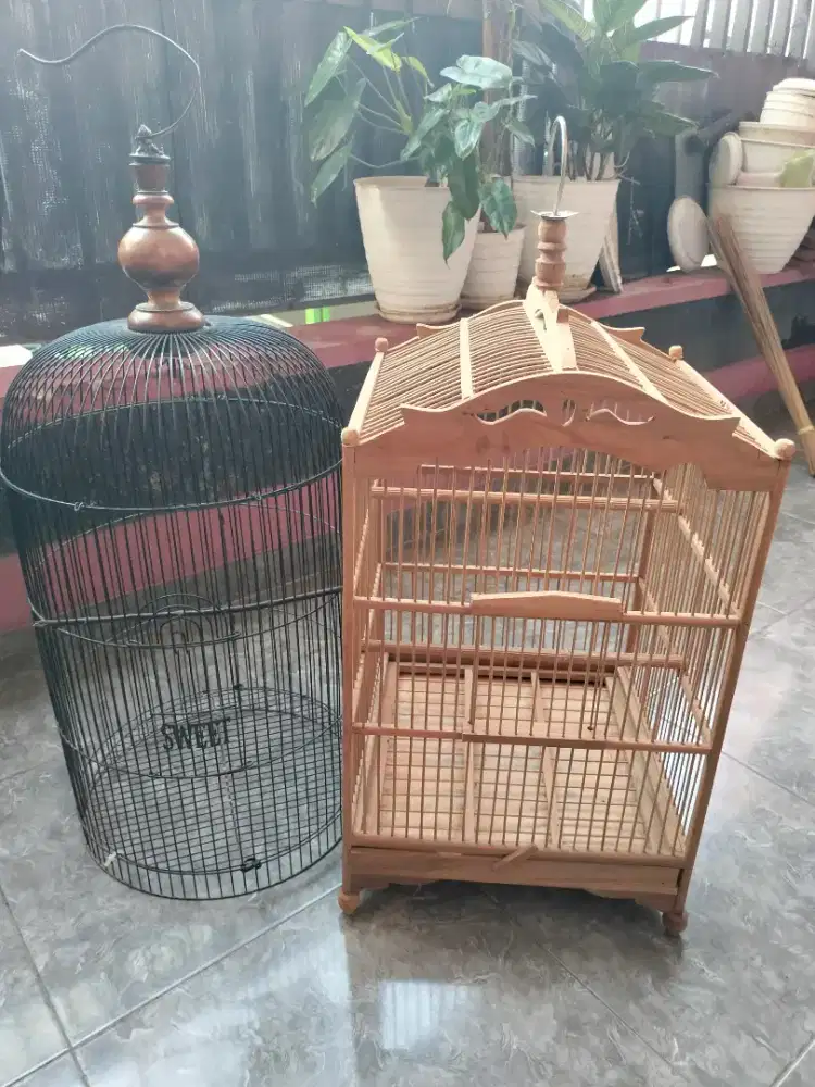 2 Kandang Mumer
